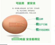 雞蛋可溯源印刷包裝制作 雞蛋可溯源印刷包裝制作