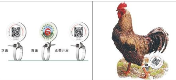 家禽飼養(yǎng)二維碼溯源系統(tǒng)軟件 家禽飼養(yǎng)二維碼溯源系統(tǒng)軟件